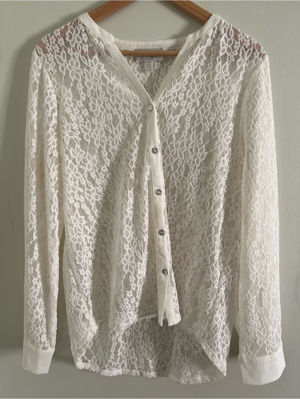 Cupio Blush Large Size White Lace Button Front Long Sleeve Layer Blouse Top Boho